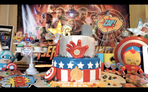 Party Videographer